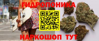 ALPHA PVP Будённовск